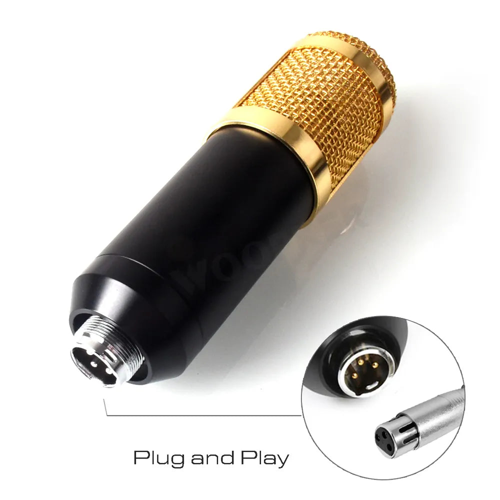 Professional Condenser Microphone