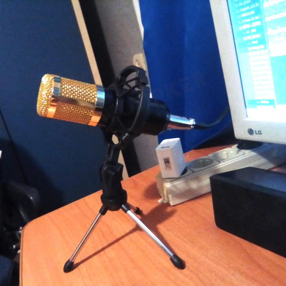 Professional Condenser Microphone