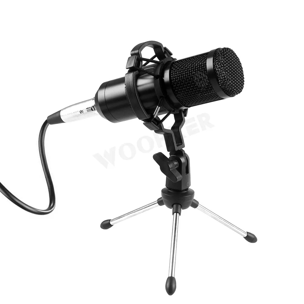 Professional Condenser Microphone