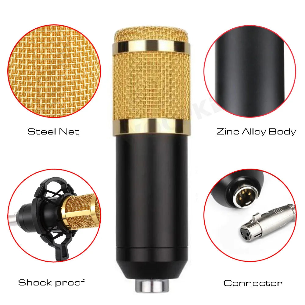Professional Condenser Microphone