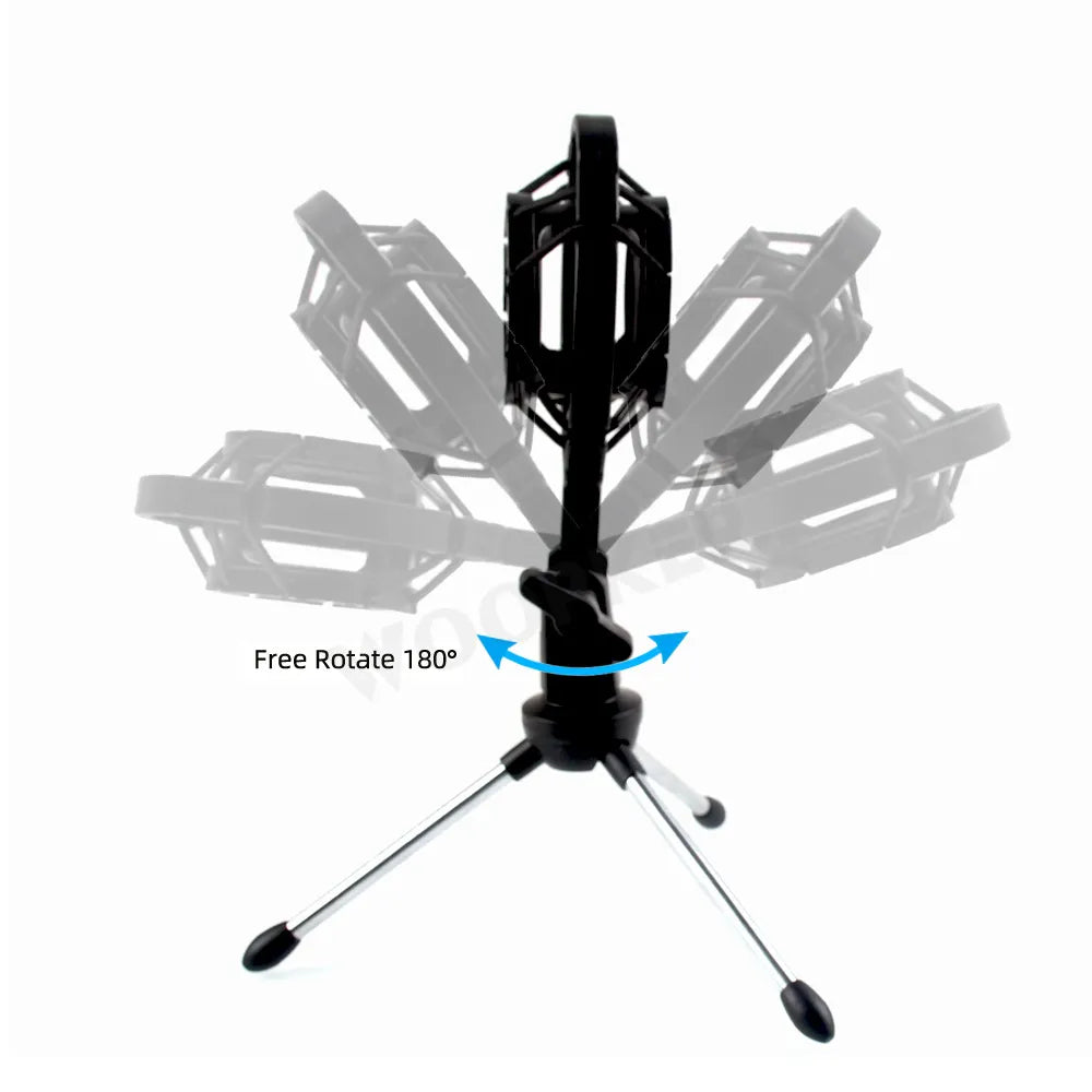 Professional Condenser Microphone