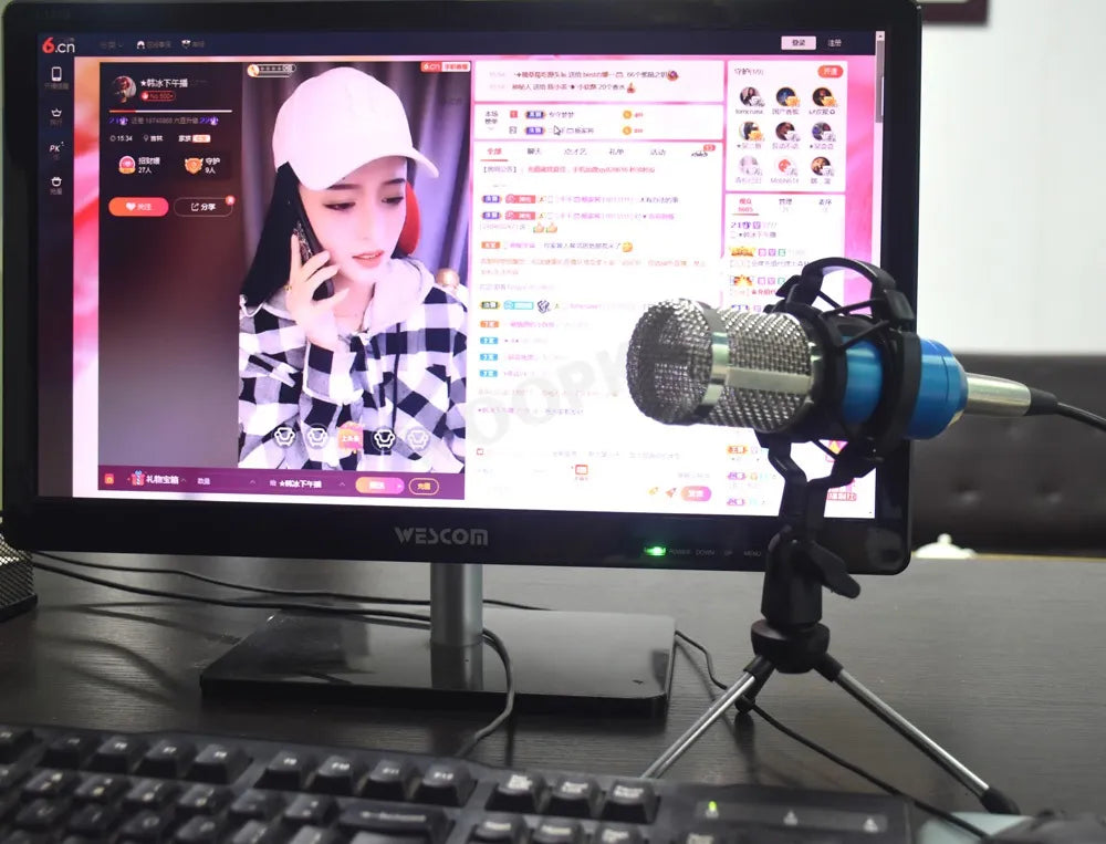 Professional Condenser Microphone