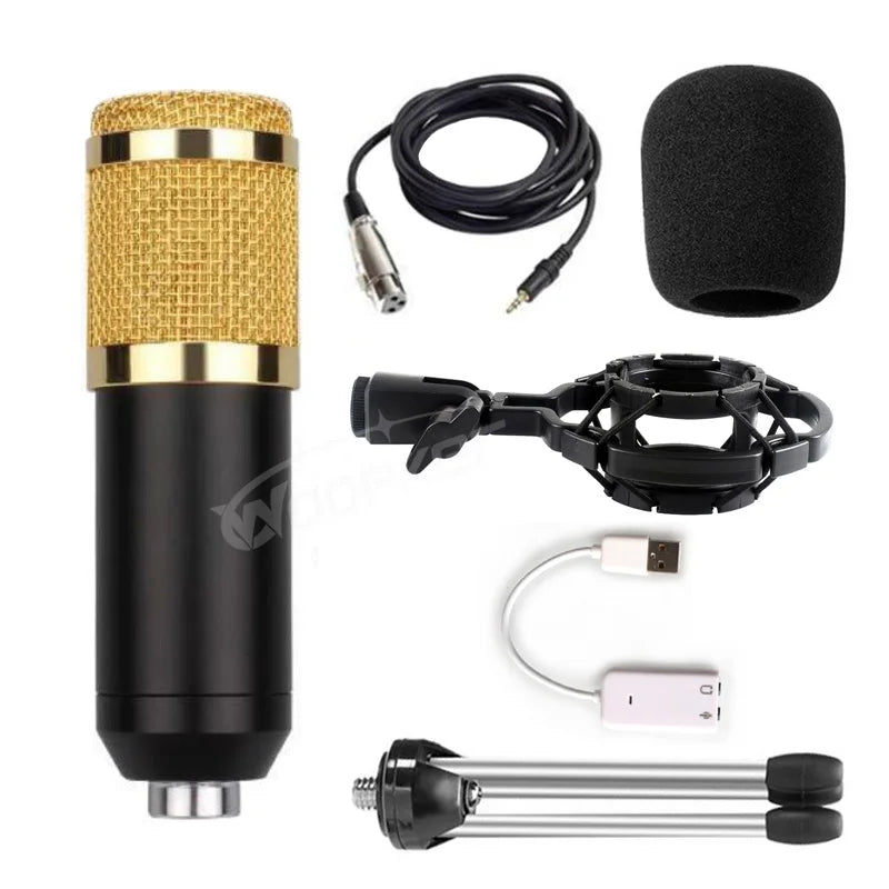 Professional Condenser Microphone
