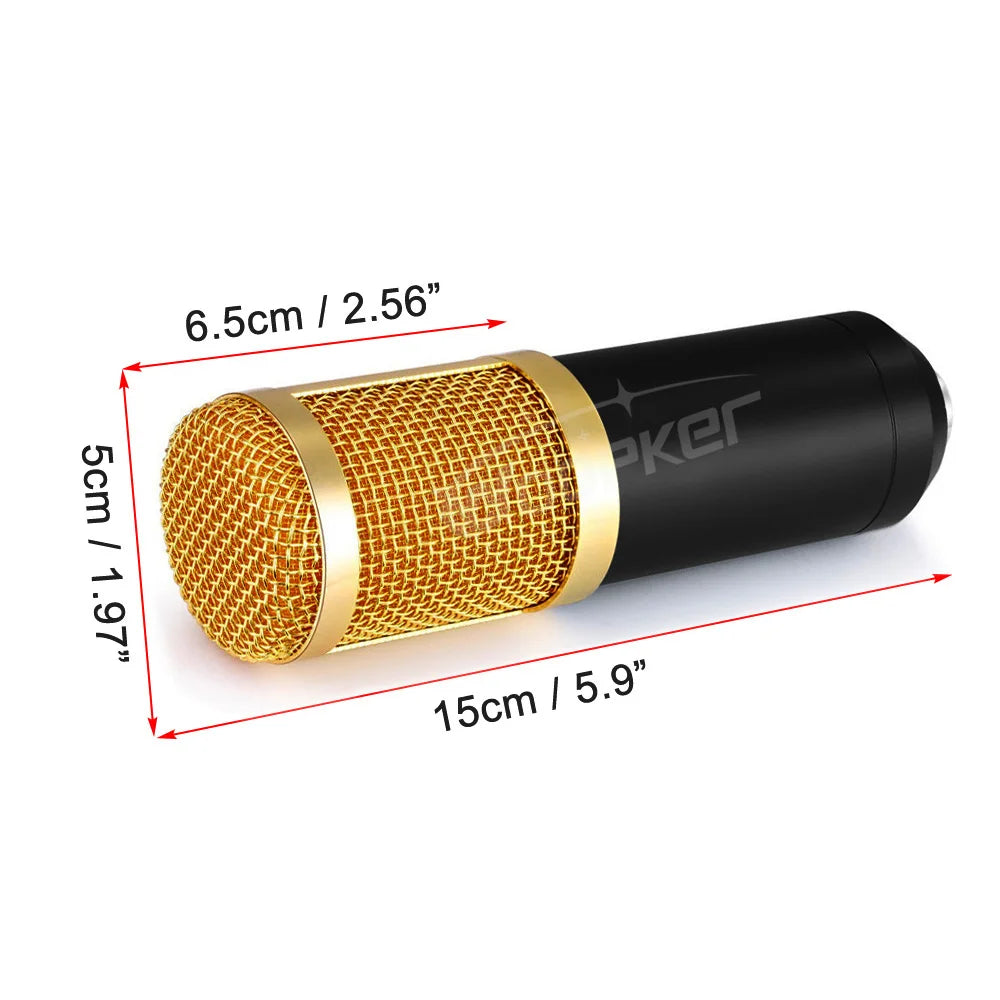 Professional Condenser Microphone