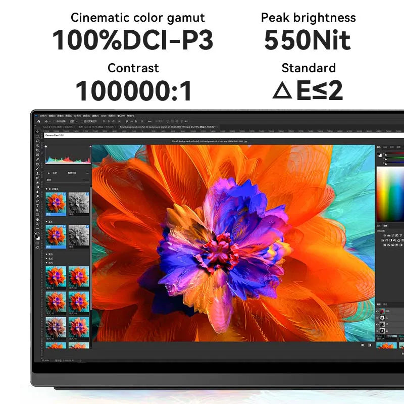 Portable Monitor OLED Air Series 13.3"