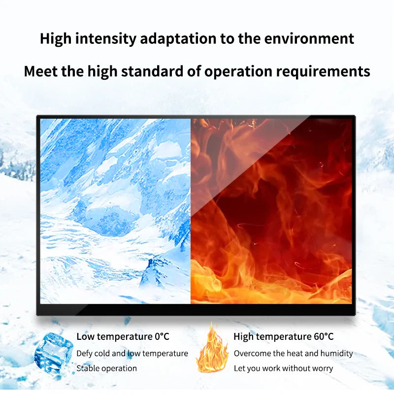 Portable Monitor Medical Grade Display