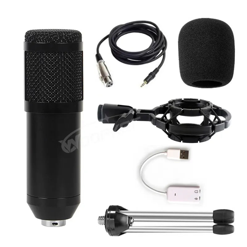 Professional Condenser Microphone