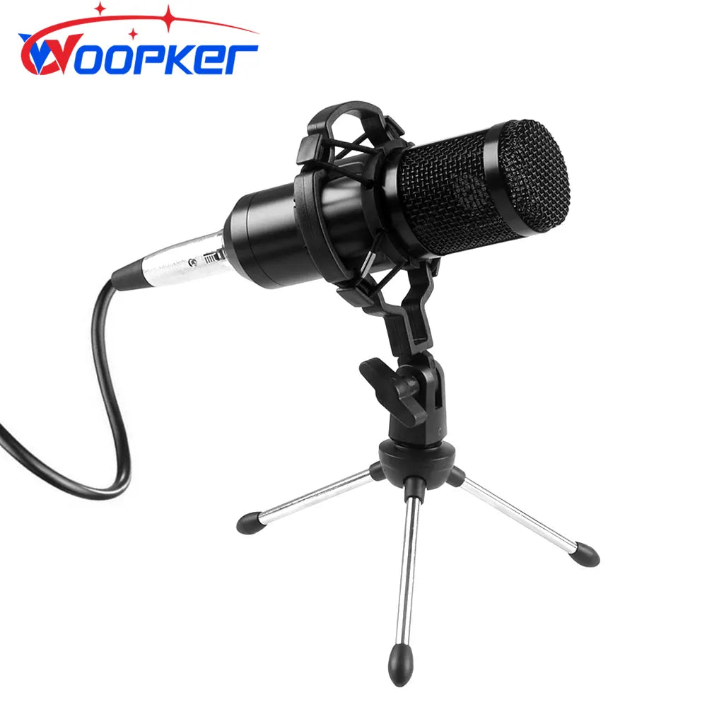 Professional Condenser Microphone