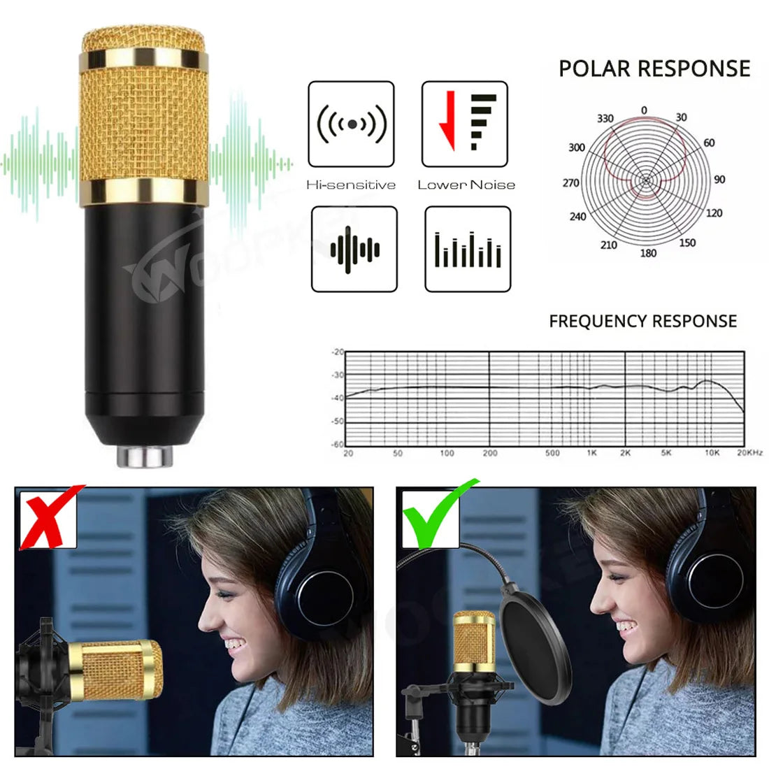 Professional Condenser Microphone