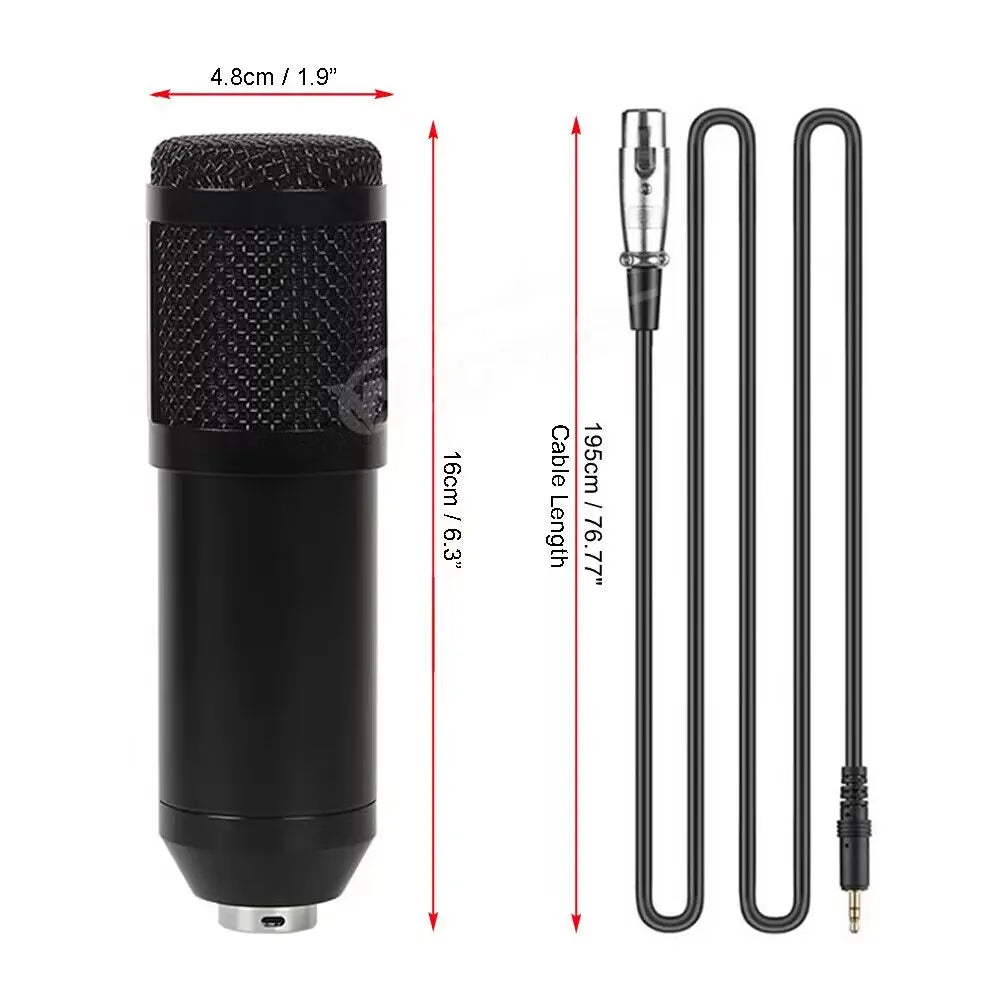 Professional Condenser Microphone